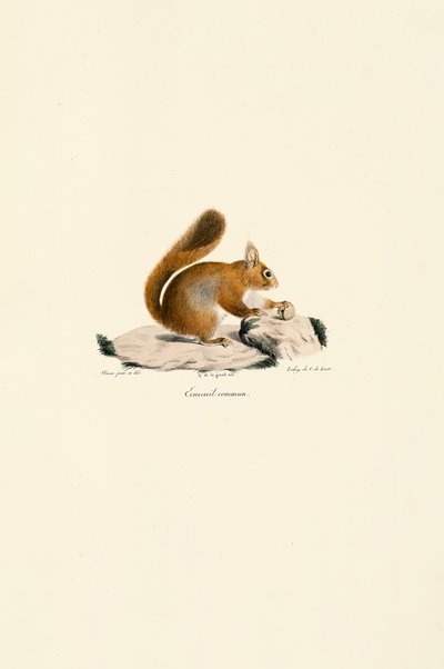  da Jacques Christophe Werner