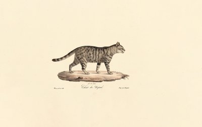  da Jacques Christophe Werner