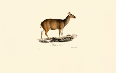  da Jacques Christophe Werner