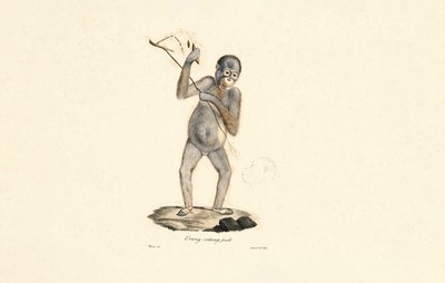  da Jacques Christophe Werner