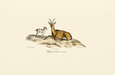  da Jacques Christophe Werner