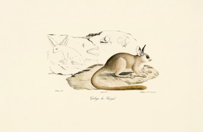  da Jacques Christophe Werner