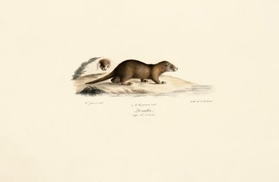  da Jacques Christophe Werner