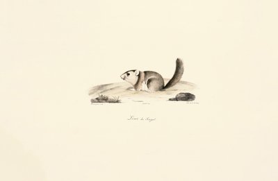  da Jacques Christophe Werner