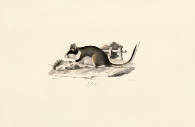  da Jacques Christophe Werner