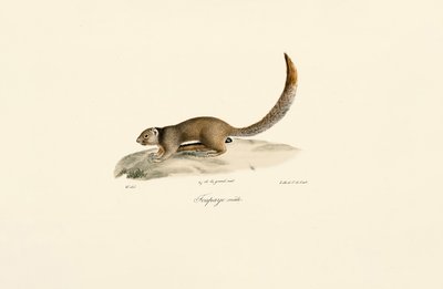  da Jacques Christophe Werner