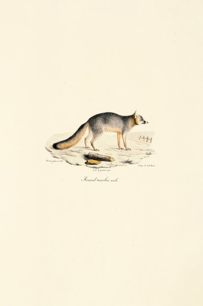  da Jacques Christophe Werner