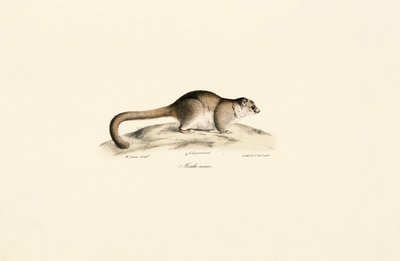  da Jacques Christophe Werner