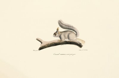  da Jacques Christophe Werner