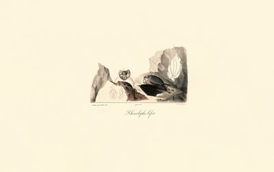  da Jacques Christophe Werner