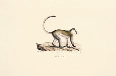  da Jacques Christophe Werner