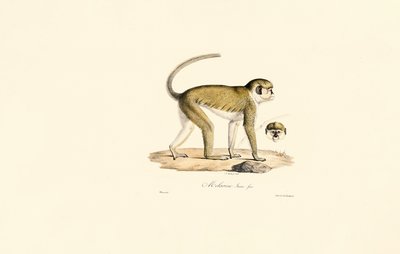  da Jacques Christophe Werner