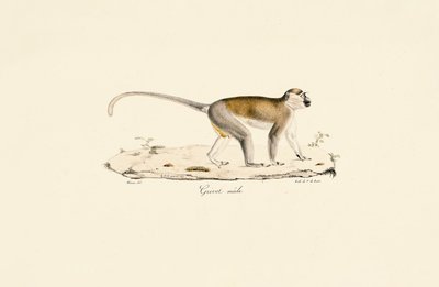  da Jacques Christophe Werner