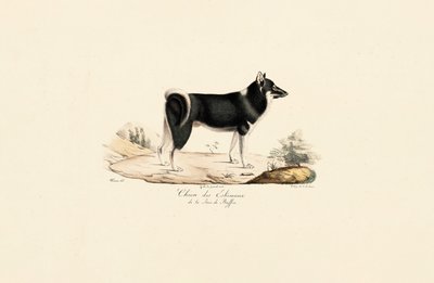  da Jacques Christophe Werner
