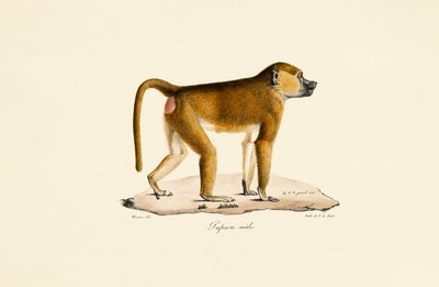  da Jacques Christophe Werner