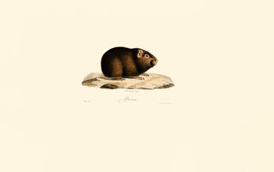  da Jacques Christophe Werner