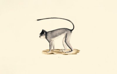  da Jacques Christophe Werner