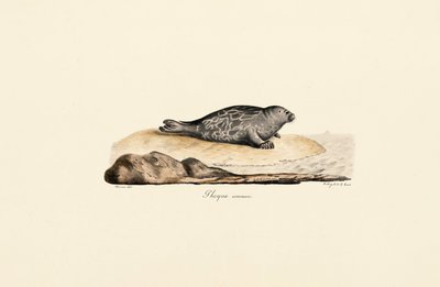  da Jacques Christophe Werner