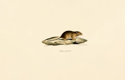  da Jacques Christophe Werner