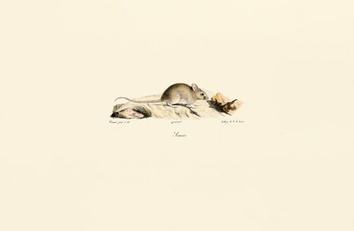  da Jacques Christophe Werner