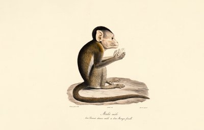  da Jacques Christophe Werner