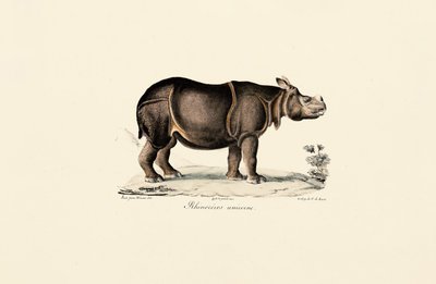  da Jacques Christophe Werner