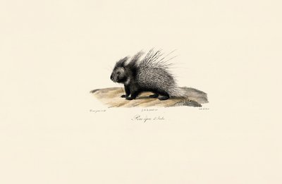  da Jacques Christophe Werner
