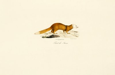  da Jacques Christophe Werner