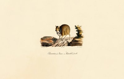  da Jacques Christophe Werner