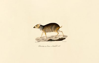  da Jacques Christophe Werner