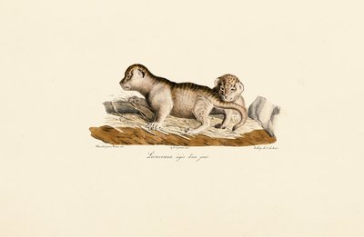  da Jacques Christophe Werner