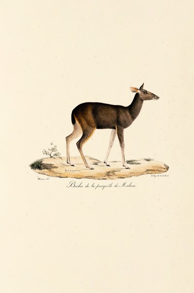  da Jacques Christophe Werner