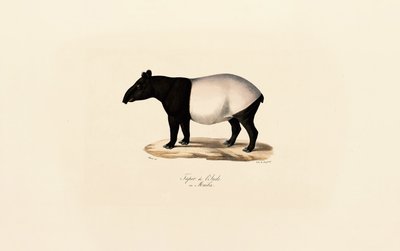  da Jacques Christophe Werner
