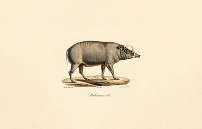  da Jacques Christophe Werner