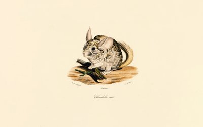  da Jacques Christophe Werner