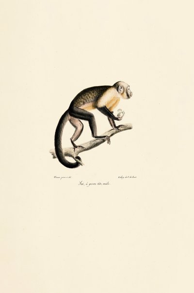  da Jacques Christophe Werner