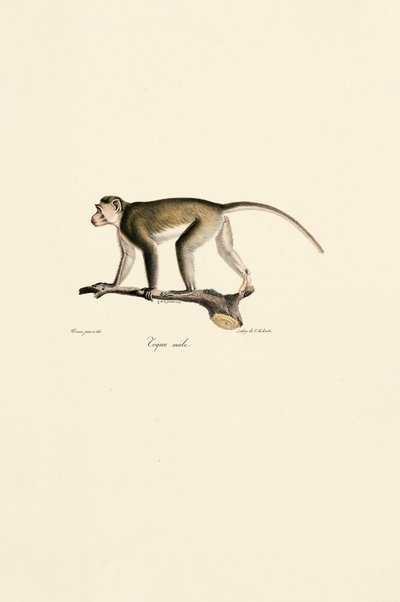  da Jacques Christophe Werner
