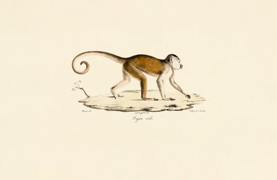 da Jacques Christophe Werner