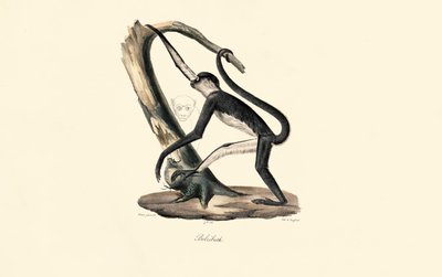  da Jacques Christophe Werner
