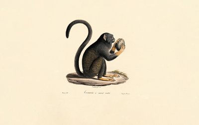  da Jacques Christophe Werner