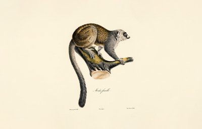  da Jacques Christophe Werner