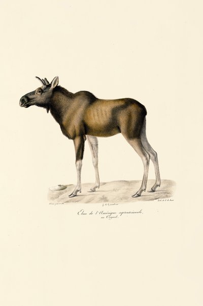  da Jacques Christophe Werner