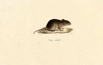  da Jacques Christophe Werner