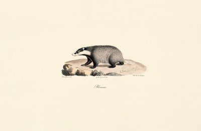 da Jacques Christophe Werner