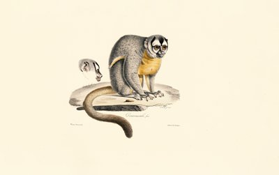  da Jacques Christophe Werner