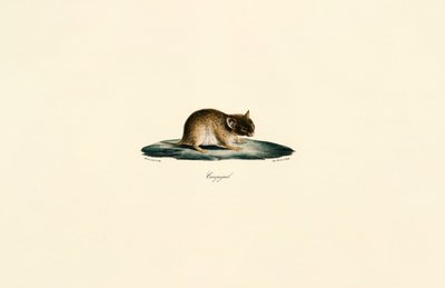  da Jacques Christophe Werner