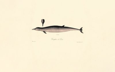  da Jacques Christophe Werner