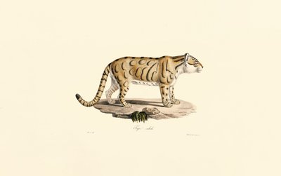  da Jacques Christophe Werner