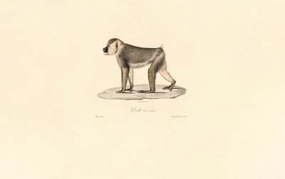  da Jacques Christophe Werner