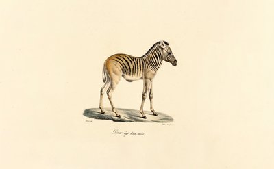  da Jacques Christophe Werner